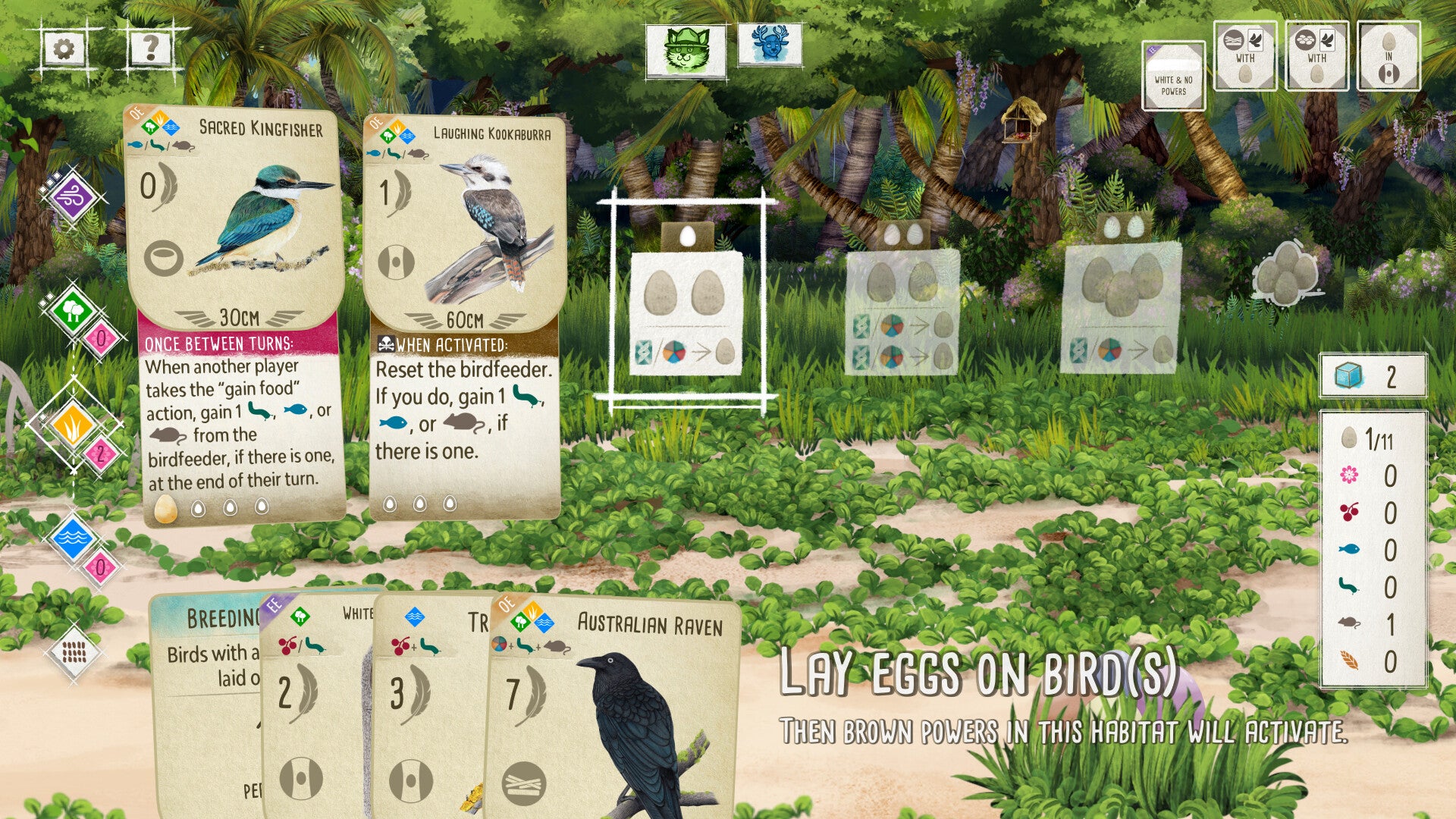 Wingspan video game is getting an expansion based on the birds of